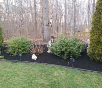 Right Touch Landscaping LLC image 1