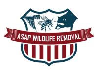 ASAP Wildlife Removal image 1