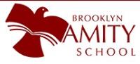 Brooklyn Amity School image 1