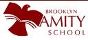 Brooklyn Amity School logo