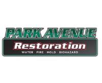 Park Avenue Restoration image 4