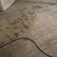 Sears Carpet Cleaning & Air Duct Cleaning image 1