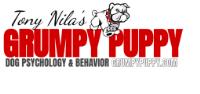 Grumpy Puppy Dog Psychology & Behavior image 1