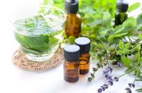 Institute of Holistic Phyto-Aromatherapy image 11