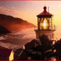 Lighthouse Financial Asset Management image 4