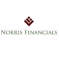 Norris Financials image 1