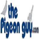The Pigeon Guy logo