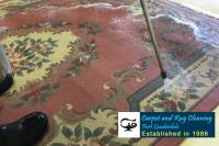 Carpet Rug Cleaners Ft Lauderdale image 4
