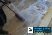 Carpet Rug Cleaners Ft Lauderdale image 7