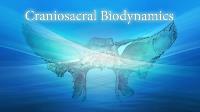 Biodynamic craniosacral Training image 9