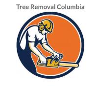 Tree Removal Columbia SC image 1