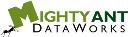 Mighty Ant DataWorks logo