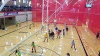 Hi-IQ Academic Volleyball Camp image 2