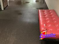 Executive Carpet Cleaning Inc image 5