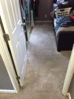 Dalux Carpet & Upholstery Cleaning Service image 2