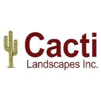 Cacti Landscapes image 3