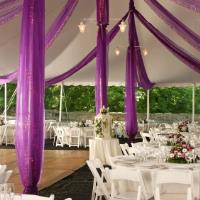 Marshall's Mid Michigan Tent & Party Rental image 1