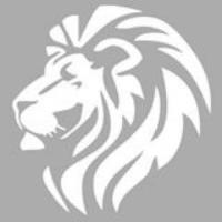 Lion Guard Investments LLC image 1