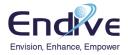 Endive Software Pvt Ltd logo