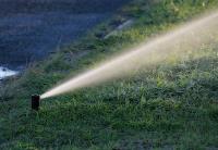1st Call Lawn Maintenance & Irrigation image 6