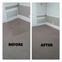 QuikDri Carpet Cleaning LLC image 3