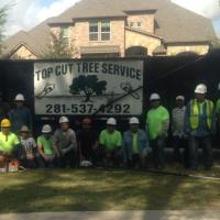 Top Cut Tree Service image 1
