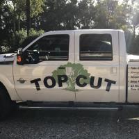 Top Cut Tree Service image 2