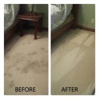 QuikDri Carpet Cleaning LLC image 8