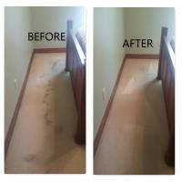 QuikDri Carpet Cleaning LLC image 7