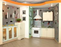 in home appliance service REPAIR image 1
