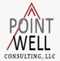 PointWell Consulting image 1