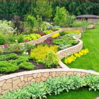 Rapid Landscaping Inc image 1