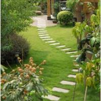 Rapid Landscaping Inc image 3