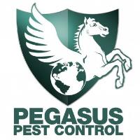 Pegasus Pest Control image 1