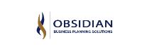 Obsidian Business Planning Solutions image 1