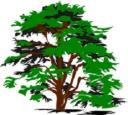 Des Moines Tree Service logo