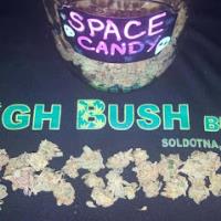 High Bush Buds image 1