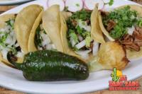 El Paso Taco Restaurant image 2