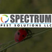 Spectrum pest solutions LLC image 1