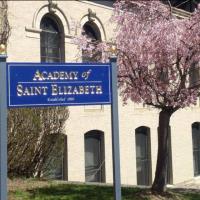 Academy of St. Elizabeth image 4