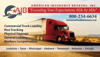 American Insurance Brokers, Inc image 2