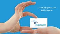 File Expenses image 4