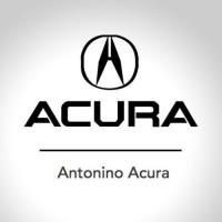 Antonino Acura image 4
