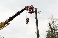 Haverhill Tree Pros image 2