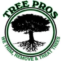 Ocala Tree Service image 1