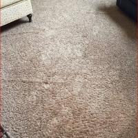 Turbo Clean Carpet & Furniture Cleaning image 2