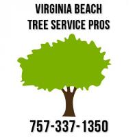 Virginia Beach Tree Service Pros image 1