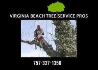 Virginia Beach Tree Service Pros image 3