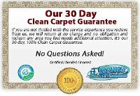 Scrubbit Steamers Carpet Cleaning image 2