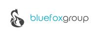 Blue Fox Group image 1
